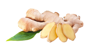 Ginger PNG-16792